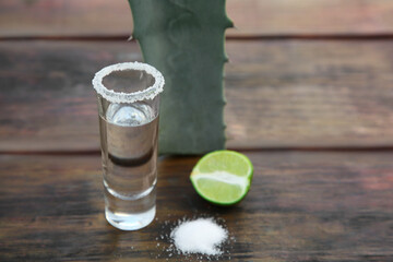 Mexican tequila shot, salt, lime and green leaf on wooden table, closeup with space for text. Drink...