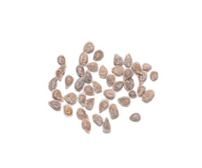 Pile of tomato seeds on white background, top view