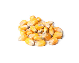 Pile of corn seeds on white background