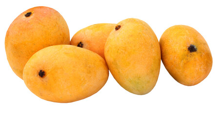 Fresh Mangoes