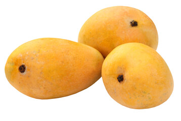 Fresh Mangoes