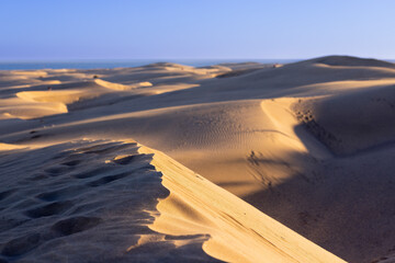 Golden hour at Maspalomas Dunes