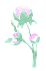 Flower, spring, flowering, plant. Watercolor, art decoration, sketch. Illustration hand drawn modern