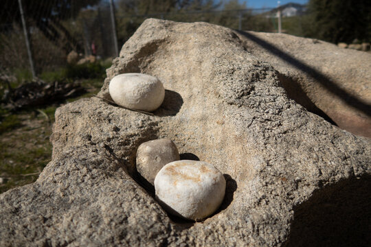 Stone Mano and Matate used by Native American Tribes to Grind Grain and Acorns