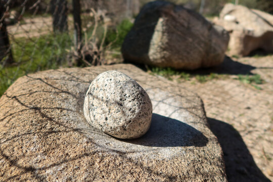 Stone Mano and Matate used by Native American Tribes to Grind Grain and Acorns