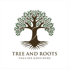Tree and root company logo design vector illustration