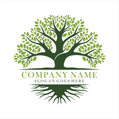 Obraz premium Tree and roots for company or branding logo design vector isolated on white background