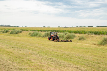 Fototapeta premium Siembra en campo con cielo