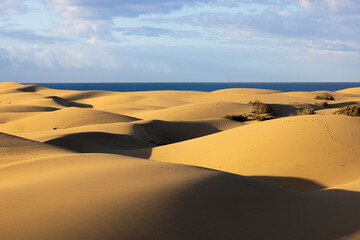 Golden hour at Maspalomas Dunes