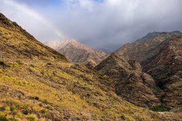Rainbow Over the Mountains: A Vision of Beauty