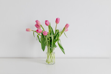 A bouquet of pink tulips in a glass vase stands on a white pedestal in a bright room with white walls. Valentine's Day background with flowers. Gift for Mother's Day or Women's Day. Spring background