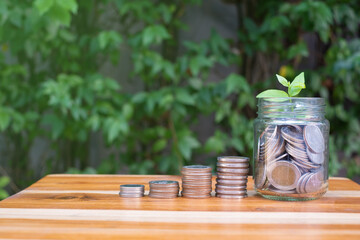 coin growing up with little plant on top of the jar , concept of money saving, banking and investment, with wooden table and green natural background