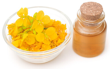 Mustard flowers with oil