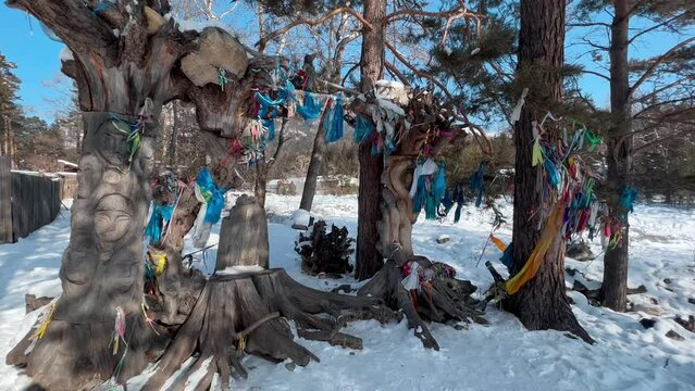 Traditional ribbons on trees to appease the spirits in the village of Arshan, Buryatia. High quality 4k footage