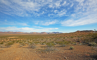 Fototapeta na wymiar The desert - Valley of Fire State Park, Nevada