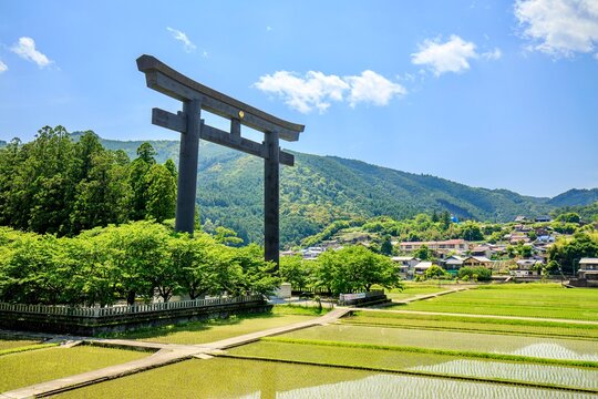 世界遺産熊野古道　大斎原（おおゆのはら）熊野本宮大社旧社地