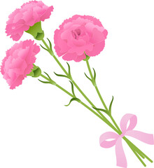 カーネーションの花束_ピンク_ベクターイラスト