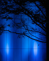 blue lighting on building at night with trees