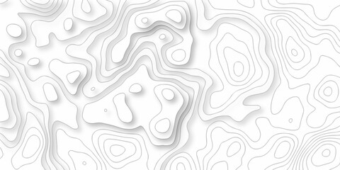 Fototapeta premium Topographic map. Geographic mountain relief. Abstract lines background. Contour maps. Vector illustration, Topo contour map on white background, Topographic contour lines vector map seamless pattern.