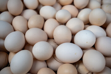 Close up of eggs in market