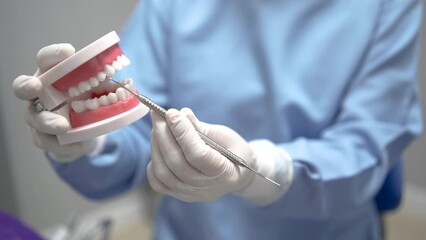Dentist woman giving a lesson on a teeth model. healthcare concept.