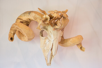 southwest skull wall decor