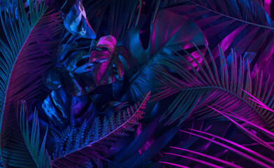 Trendy composition made of fluorescent color layout made of tropical jungle leaves. Flat lay neon...