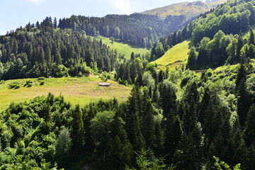 landscape in the mountains