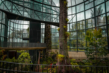 Fototapeta premium Tropicario - Dearquitecturaypaisaje
