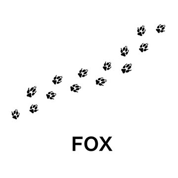 fox foot print vector, animal paw print trendy style illustration on white background 