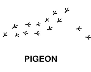 pigeon foot print, animal paw print illustration on whitebackground