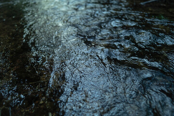 信州の山奥で湧水から流れる川の水面