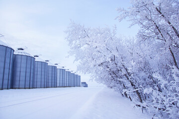 Winter scene of bins along the road and forest in snow.