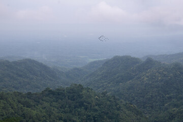 Fototapeta na wymiar An aesthetic scenery of mountain and flying birds from above with wide angle view