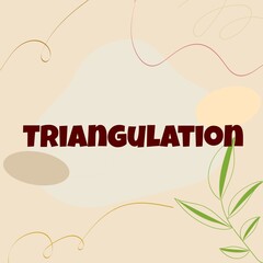 Triangulation 