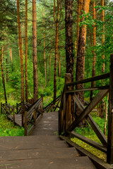 Summer landscape. Wooden staircase in a pine forest.