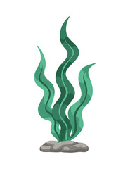 Underwater Organism Algae Seaweed Doodle Vector. Organic Water Plant Illustration.