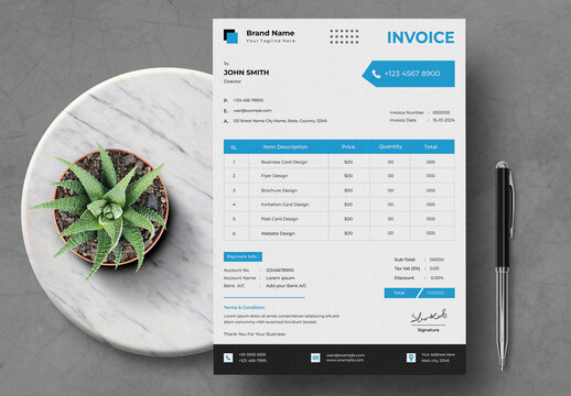 Business Invoice Design Template