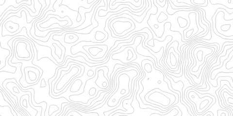 Abstract background with white and black lines topography map contour background. Vector seamless background, subtle pattern. topographic map background concept and background of the topographic map. 