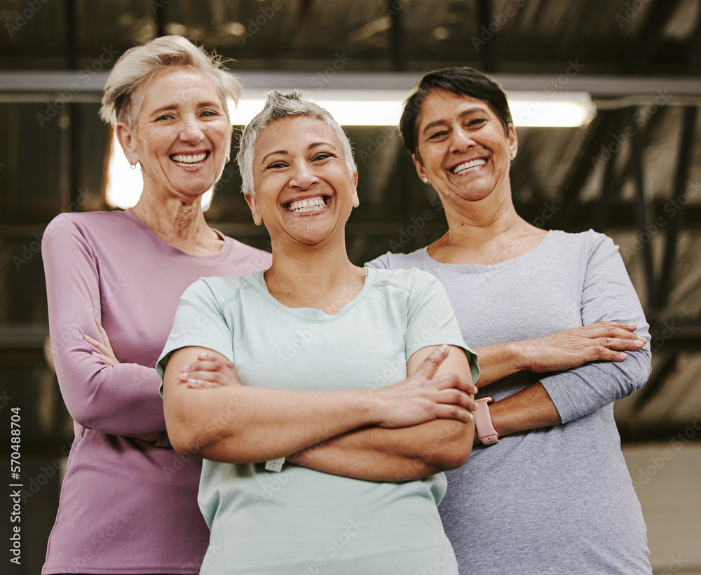 Poster Senior woman, exercise group and portrait with arms crossed, smile and support for wellness goal. Elderly women, team building and happiness at gym for friends, solidarity or diversity for motivation