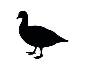 Vector flat goose silhouette isolated on white background