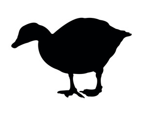 Vector flat goose silhouette isolated on white background