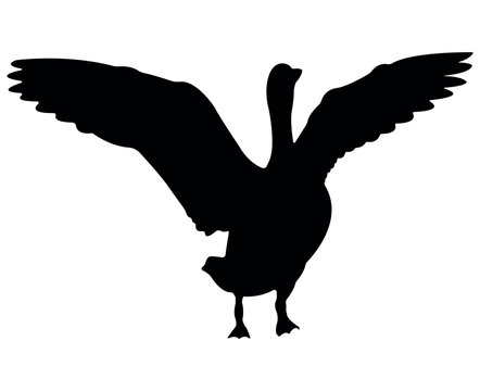 Vector flat goose silhouette isolated on white background