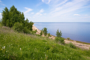 Fototapeta na wymiar The coast of Ilmen lake on a sunny summer day. Novgorod region, Russia