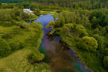 Over the backwaters of the Izvarka river (aerial view). Leningrad region, Russia