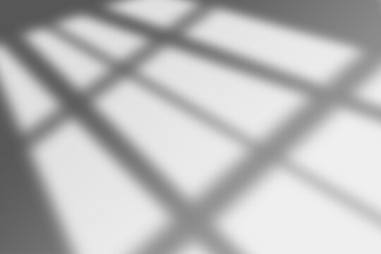 window shadow overlay background leaves tropical branches, Shadow overlay effect background use for poster, wall art, cover, presentation, mockup design