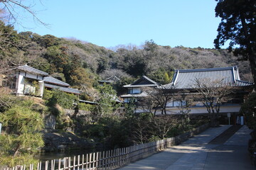 初春の鎌倉。妙香池。