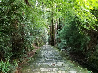 美しい自然と石畳の道