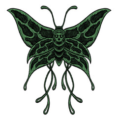 Butterfly with skull face drawing illustration.