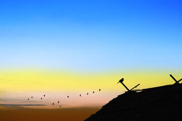 Sunset colorful blue red orange yellow sky and silhouette top of cottage and group birds flying
